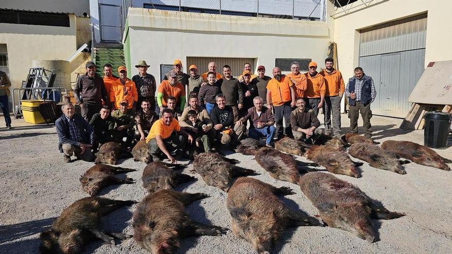 Abaten 19 jabalís en una sola batida en Castellón para evitar destrozos en los cultivos