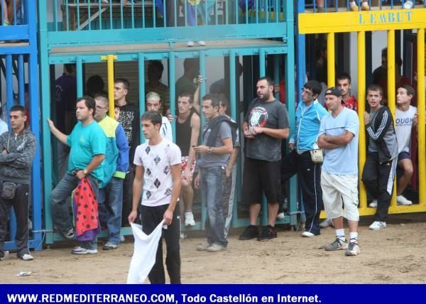 PRIMERA JORNADA DEL CONCURSO DE GANADERÍAS. LA VILAVELLA 2009.