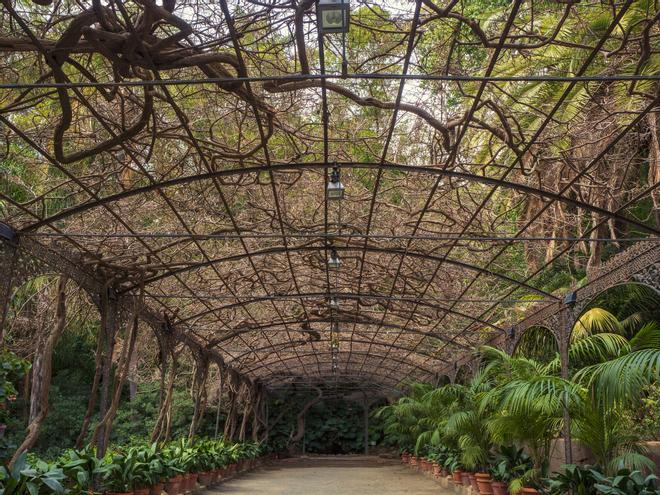 Zona cubierta del Jardín Botánico-Histórico La Concepción
