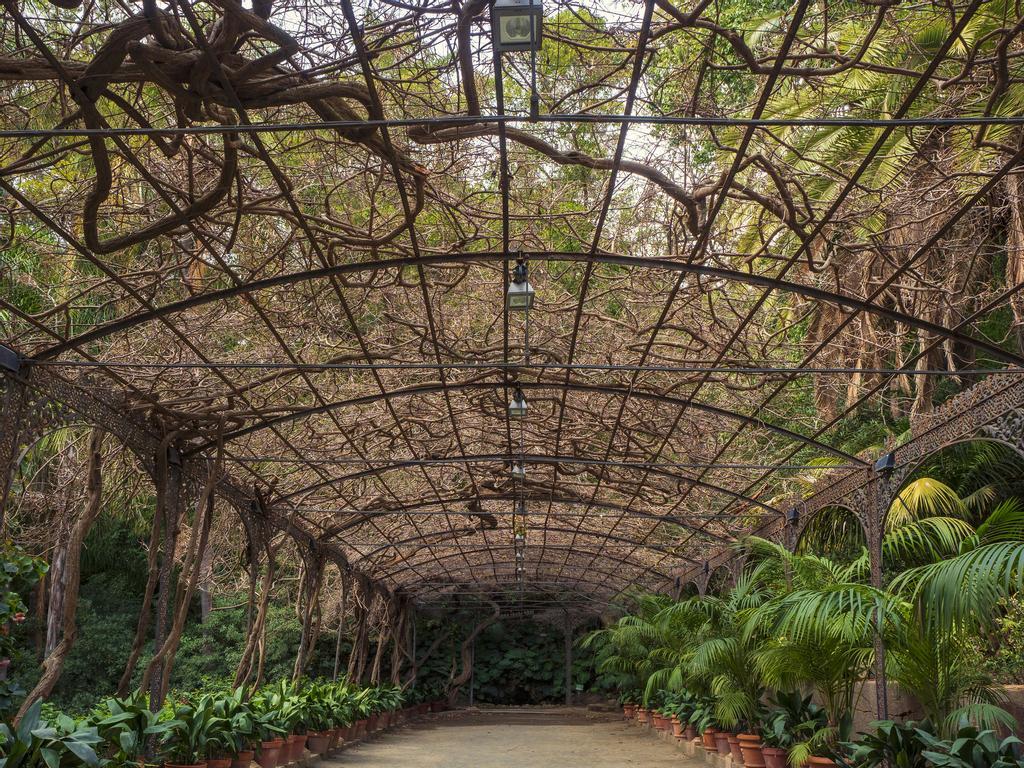 Zona cubierta del Jardín Botánico-Histórico La Concepción