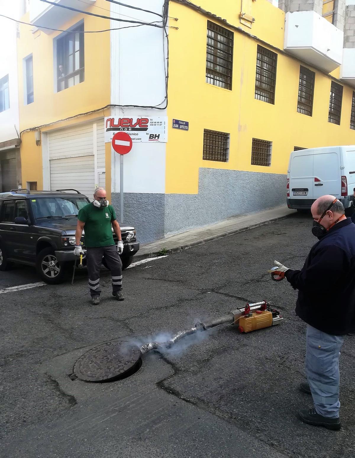 Termonebulización llevada a cabo contra las plagas de insectos en  Las Coloradas y Marzagán.