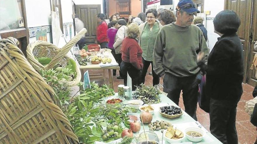 Sabores de otoño en Castro