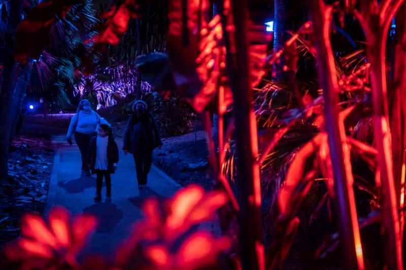 'Naturaleza Encendida'  en el Palmetum (Santa Cruz de Tenerife)