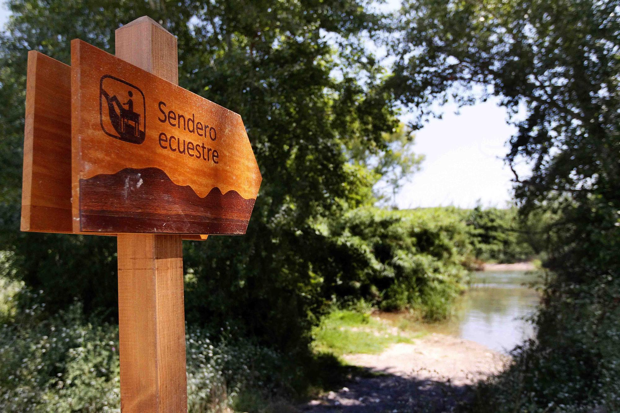 Un paseo por el Parc Natural del Túria