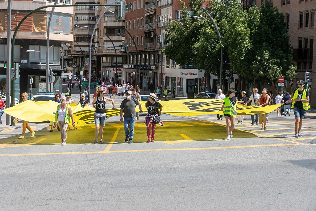 Las marchas de la dignidad este 9 de junio, en imágenes