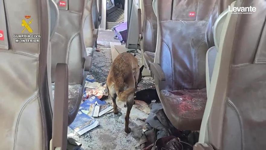 Perros entrenados de la Guardia Civil buscan personas y restos biológicos en los vagones de los trenes siniestrados en Adamuz