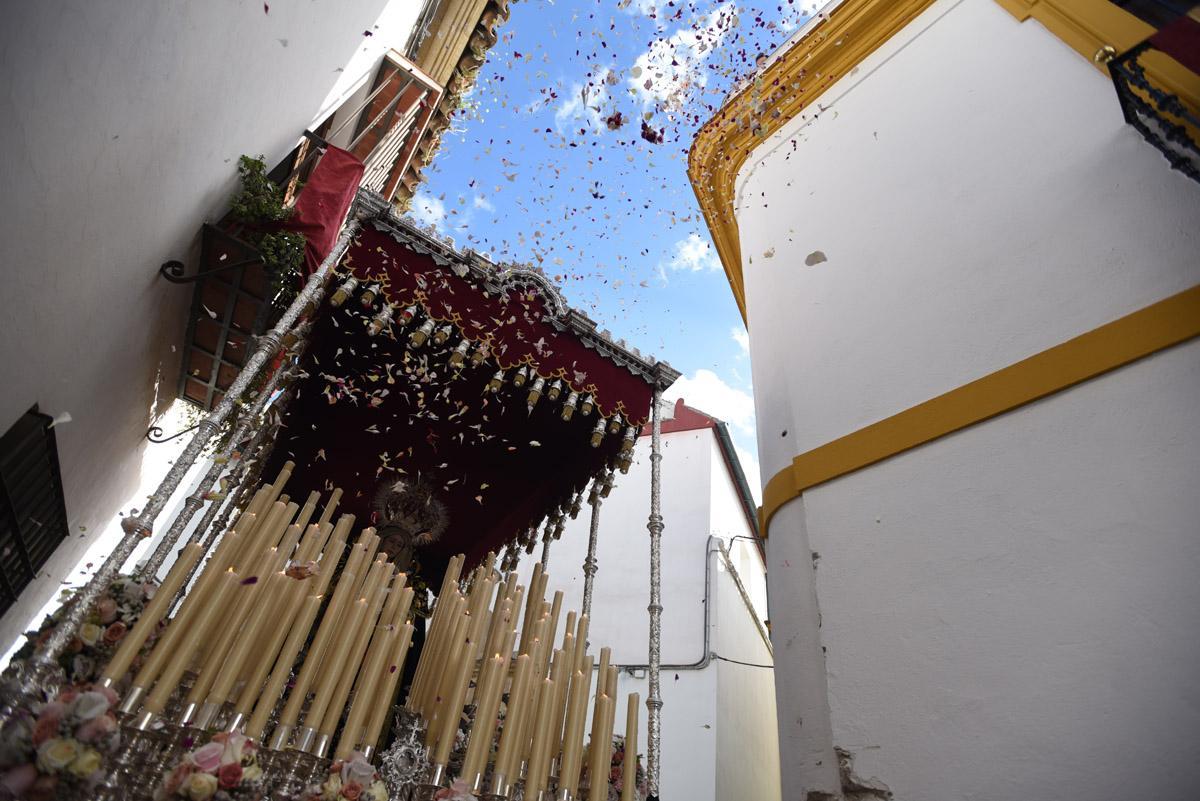 El Perdón, en imágenes
