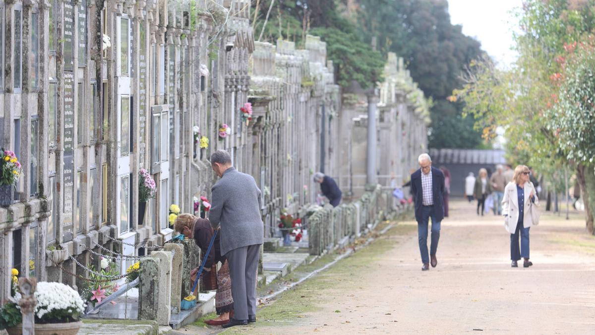 Vigo adecenta sus cementerios por Todos los Santos