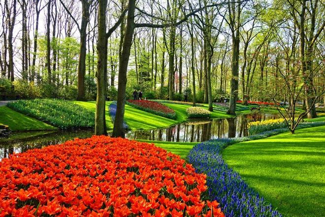 Ámsterdam y su cercanía al jardín floral más conocido del mundo