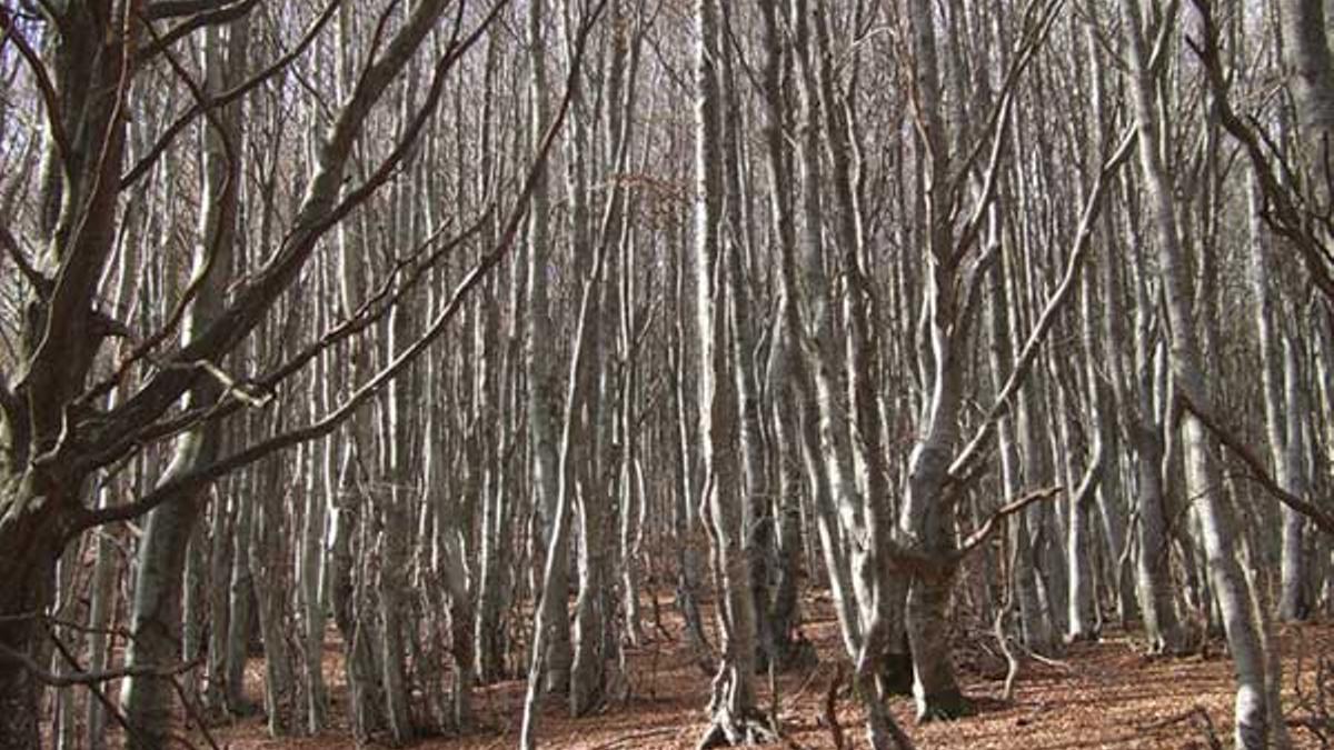 Ruta por la Cataluña interior con brujas y bandoleros