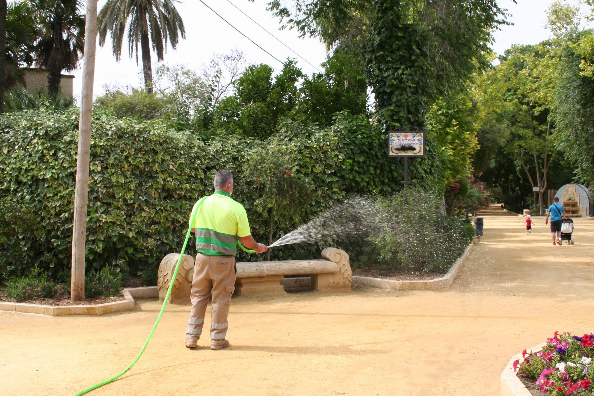 Actos vandálicos en la Alamedas, Lorca