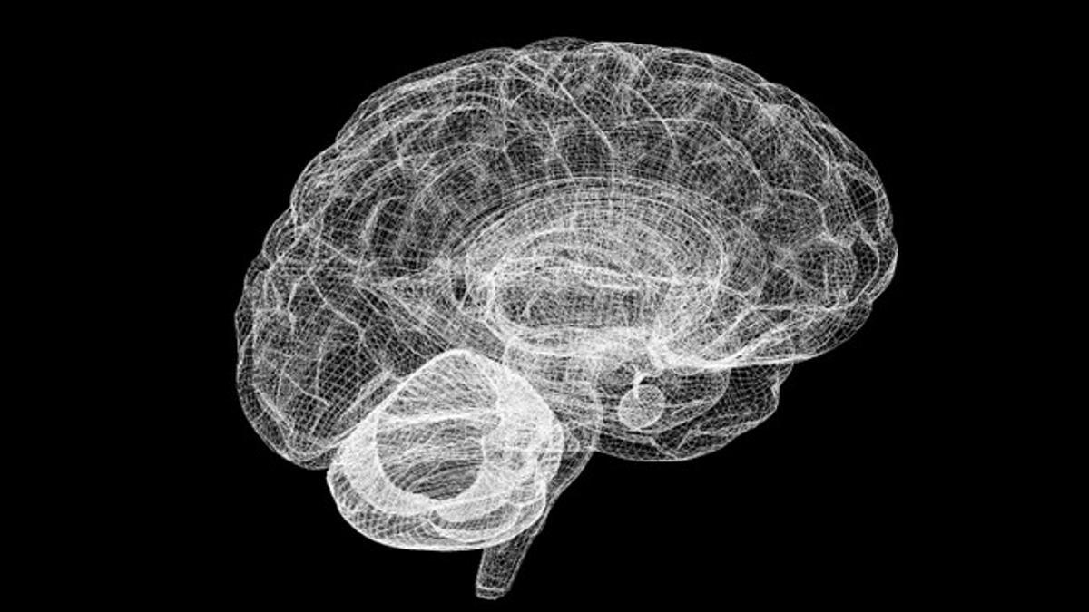 Alteraciones en el cerebro implicadas en trastorno límite de personalidad