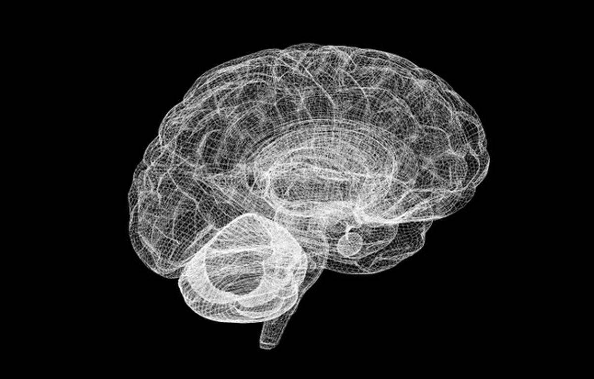 Alteraciones en el cerebro implicadas en trastorno límite de personalidad