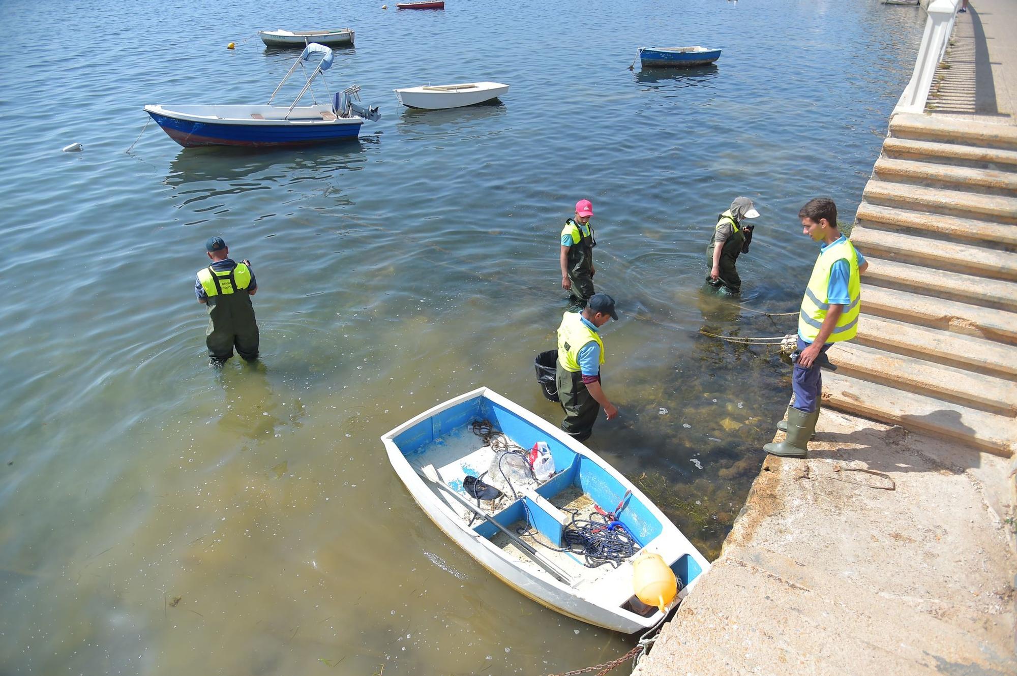 Peces muertos en el Mar Menor: aparecen ejemplares sin vida en Santiago de la Ribera