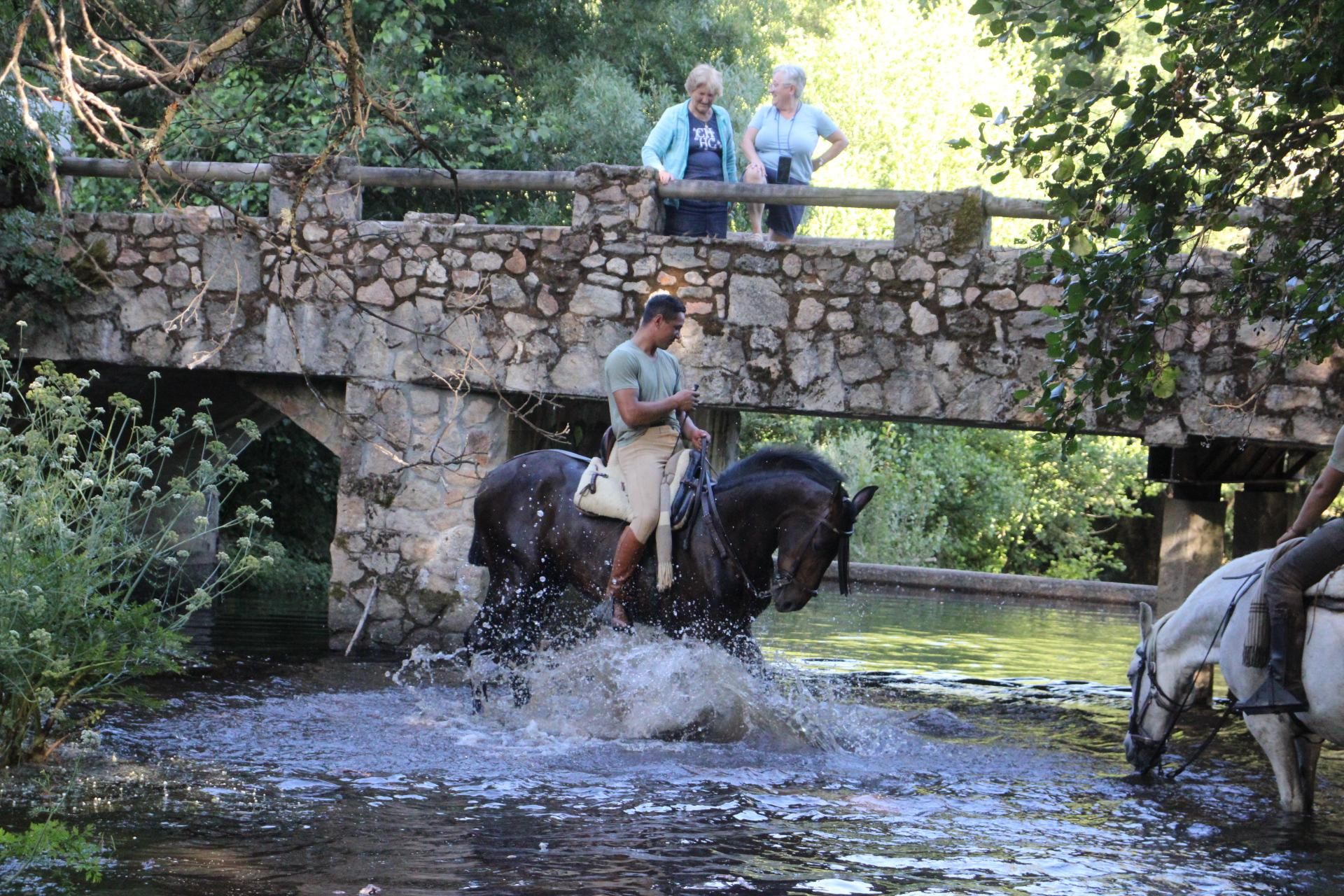 GALERÍA | Sanabria revive la transhumancia