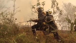 Bomberos combaten un incendio en la localidad de Jijiel, al noreste de Argelia.