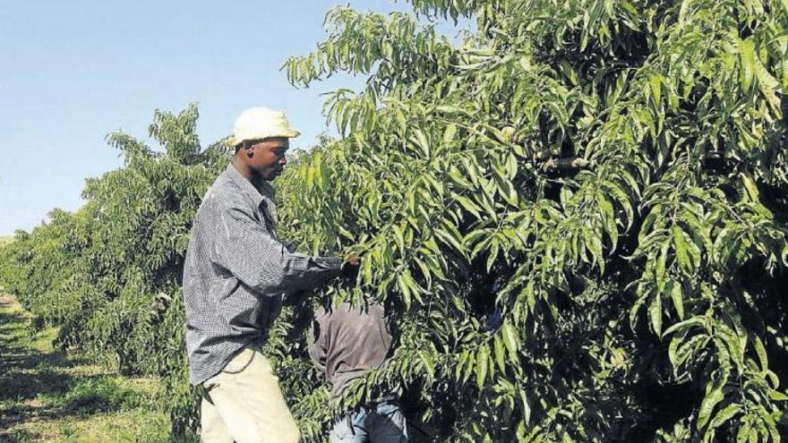 La Inspección de Trabajo logra que se regularicen 1.260 empleos