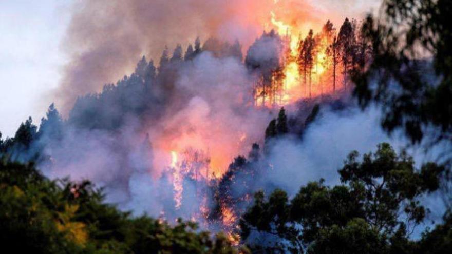 Imagen del incendio el pasado 17 de agosto.