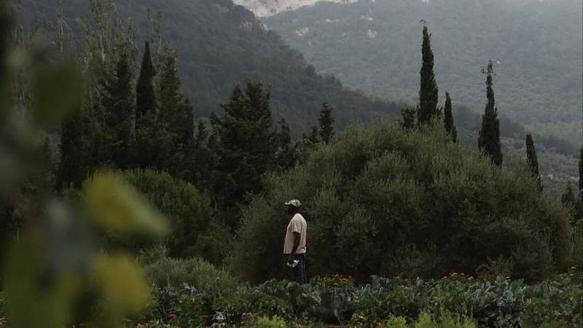 Vista de los huertos de la finca de Son Moragues.