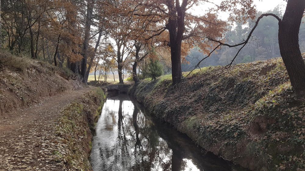 La Sèquia. Entre Santpedor i Sallent trobem la Sèquia, espai obert a la natura, tranquil i ideal per fer-hi una bona passejada.