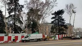 Cibeles y el Gobierno se enzarzan por la tala de árboles en Atocha