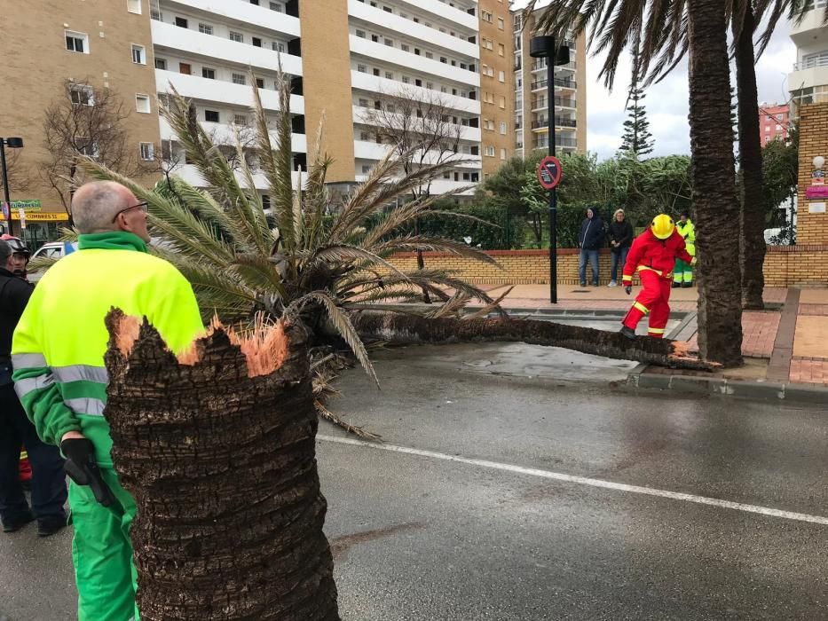 Temporal de viento y lluvia en Málaga