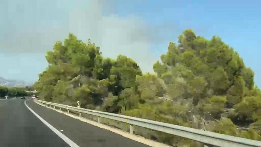 Cuatro dotaciones de bomberos actúan en un incendio declarado en un terreno lleno de matorrales entre L’Alfàs del Pi y La Nucia