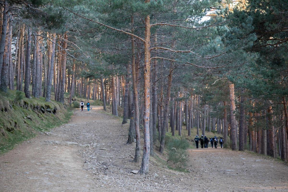 Senderistas en imagen de archivo.