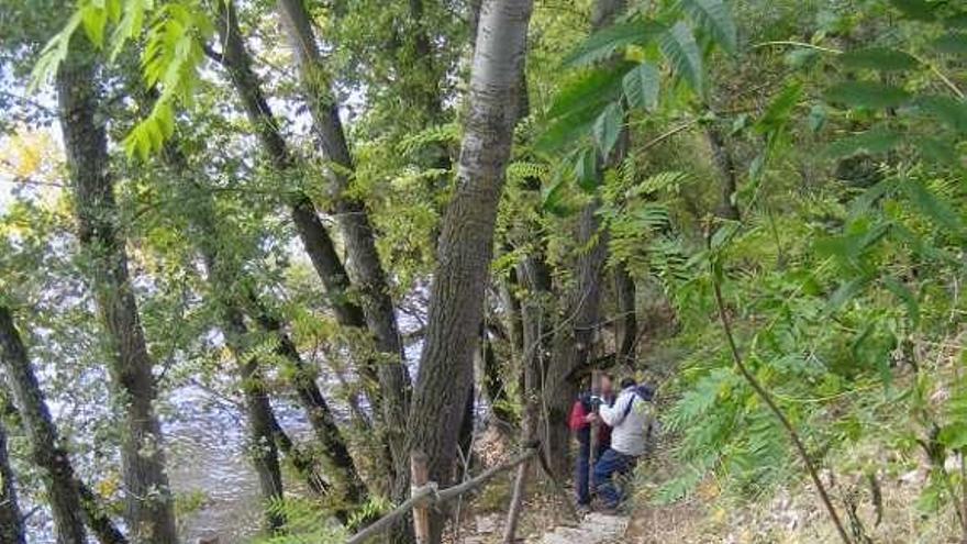 Voluntarios de la asociación recuperan escalones del sendero.