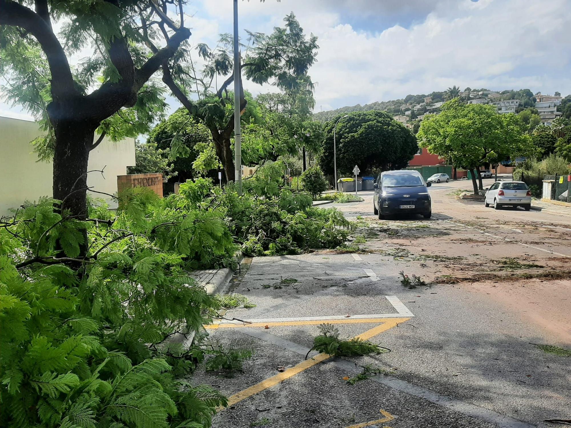 In Bildern: Das Unwetter auf Mallorca und die Schäden, die es hinterließ