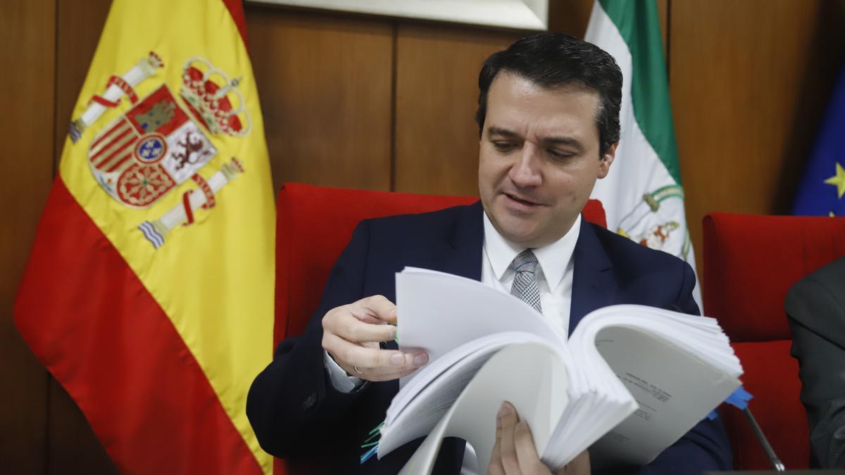 El alcalde, José María Bellido, en un pleno de Córdoba de junio.