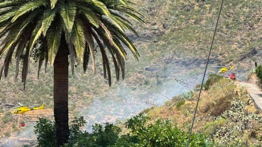 Declarado un conato de incendio en Masca a 50 metros de viviendas