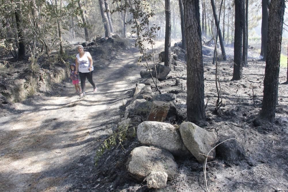 Incendios en Galicia | Vecinos de Cotobade intentan alejar el fuego de sus casas