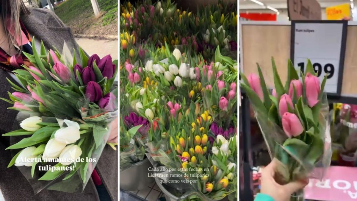 Los ramos de tulipanes del Lidl
