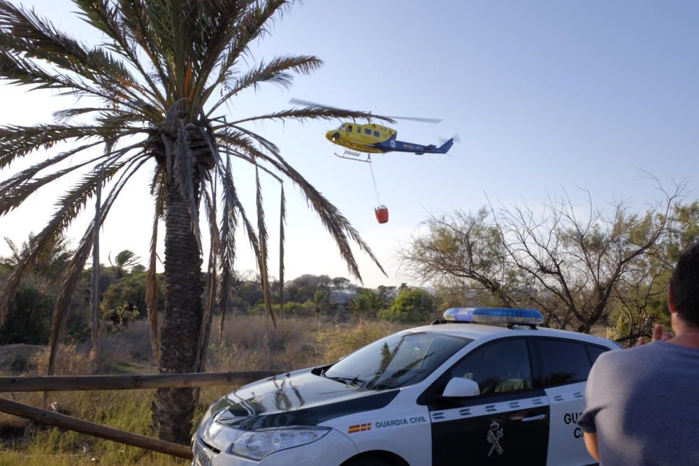 Extinción de un incendio en la pinada de Guardamar