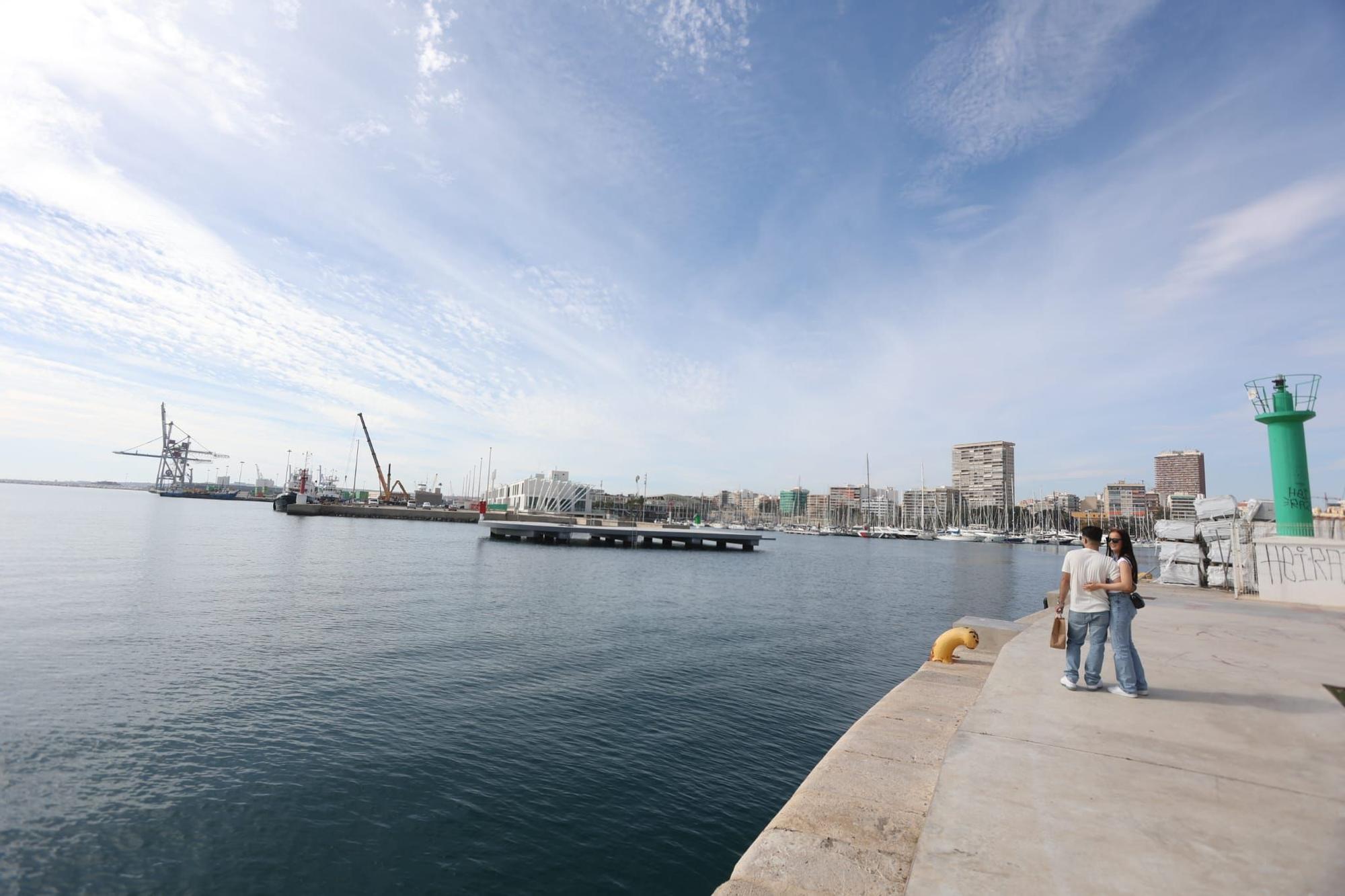 Zona donde ha aparecido el cadáver en el puerto de Alicante