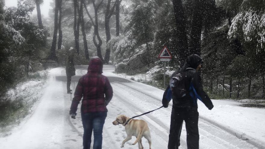 Cota de nieve a 900 metros y alerta amarilla por viento y temporal marítimo