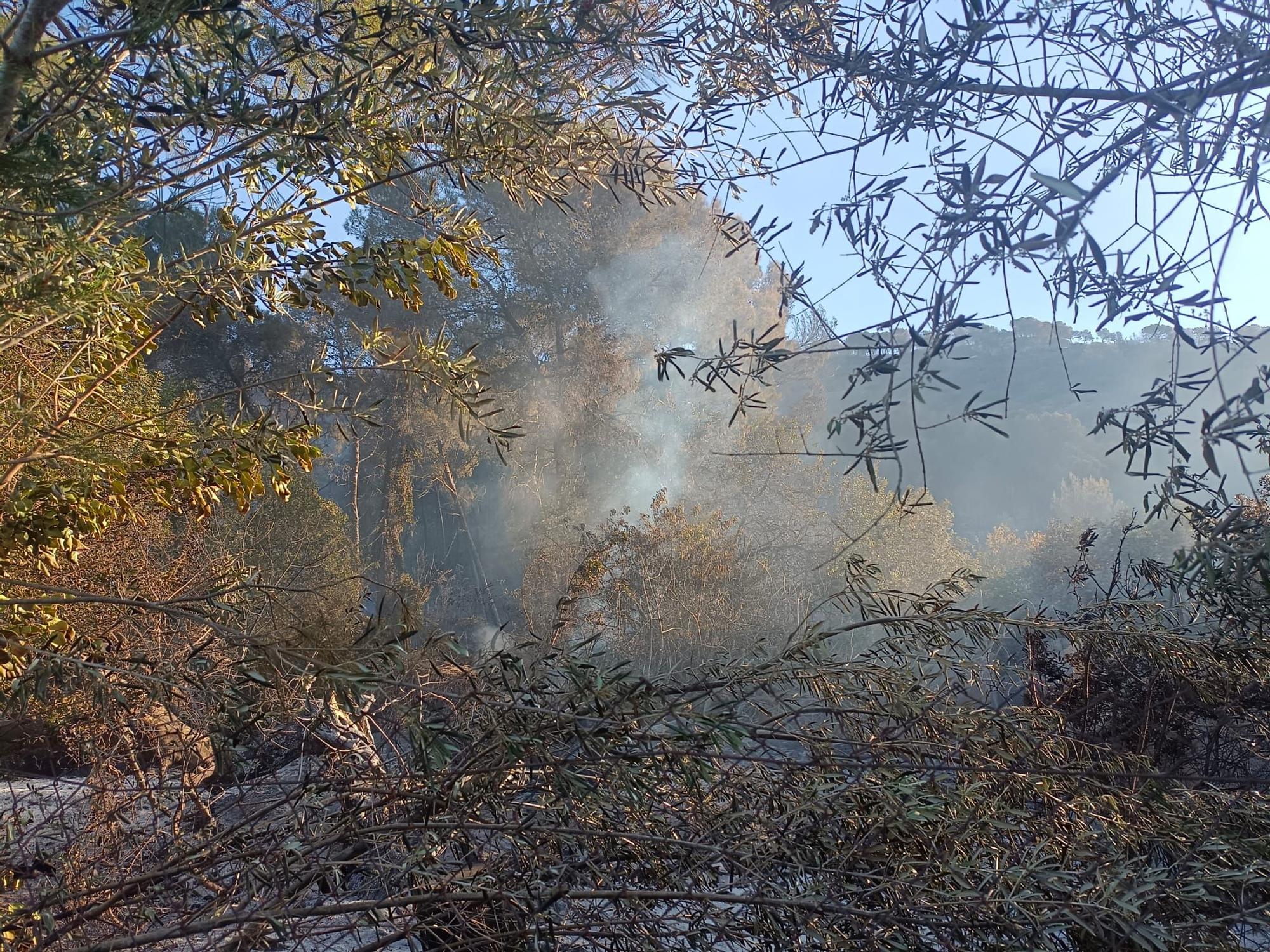 El incendio que amenaza el valle de la Murta, en imágenes