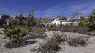 El Gobierno da portazo a la propuesta del Ayuntamiento de construir vivienda de precio libre en Son Busquets