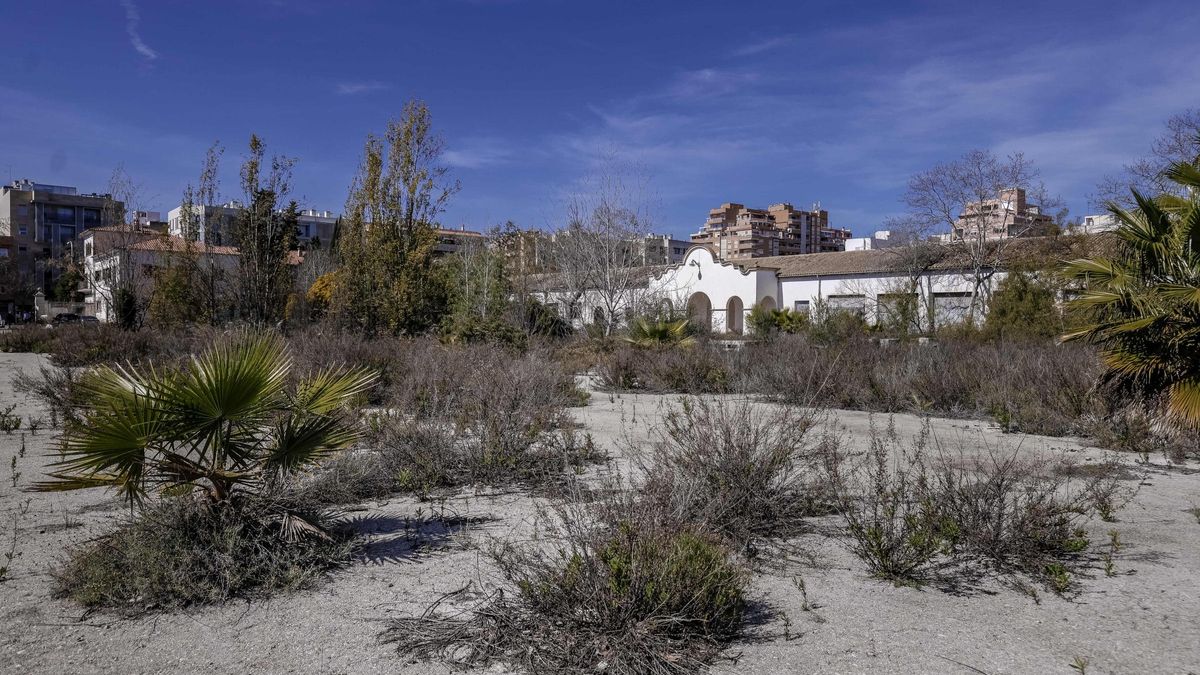 Terrenos del antiguo cuartel de Son Busquets en los que el SEPES construirá 831 viviendas.