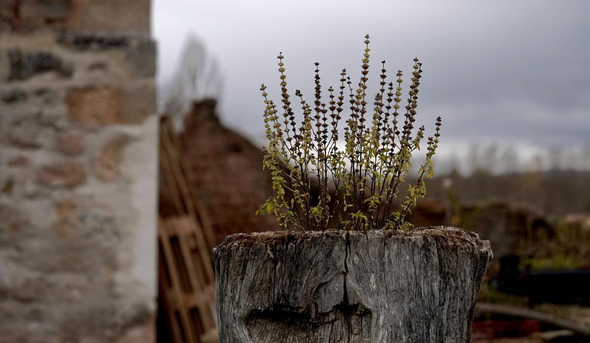 Bárcena de Bureba, el pueblo de Burgos que una pareja de holandeses quieren convertir en ecoaldea.