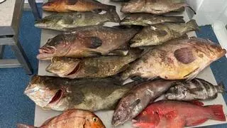 La Guardia Civil intercepta pesca submarina ilegal en aguas protegidas del Archipiélago Chinijo