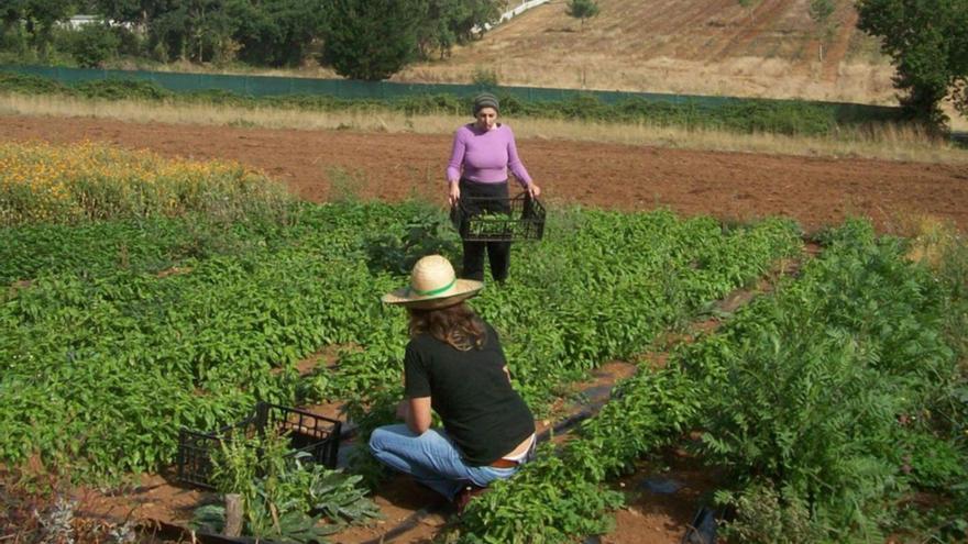Las mujeres siguen siendo las grandes olvidadas del mundo rural. | FADEMUR