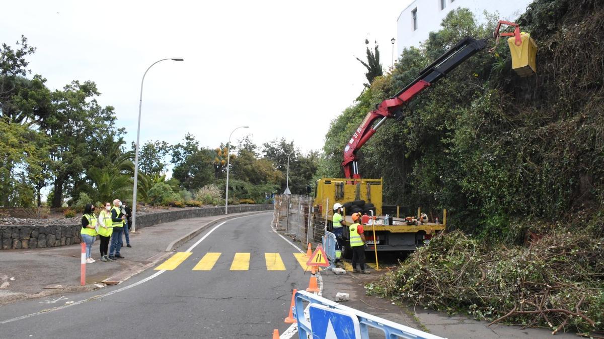 Comienza la obra del talud de la avenida de Las Palmeras