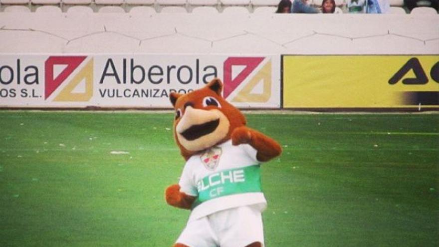 Datigol en el campo del Elche