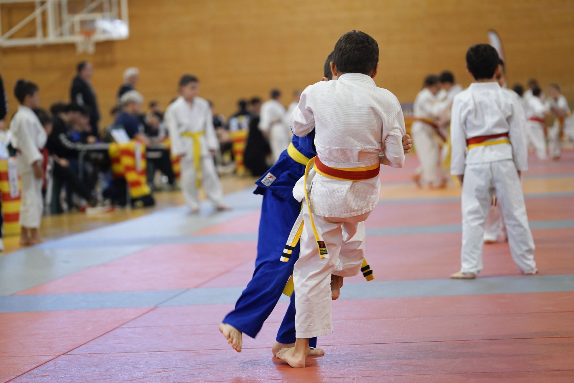 Les imatges del torneig infantil de judo de l'Escola 7