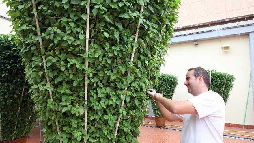 Bétera ultima sus &quot;alfàbegues&quot;.