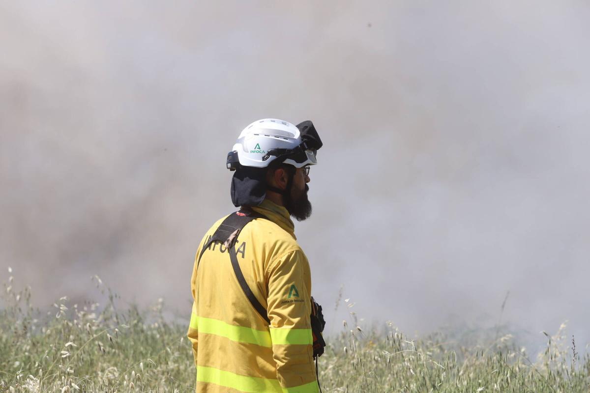 Fuego controlado en Las Quemadas y Rabanales
