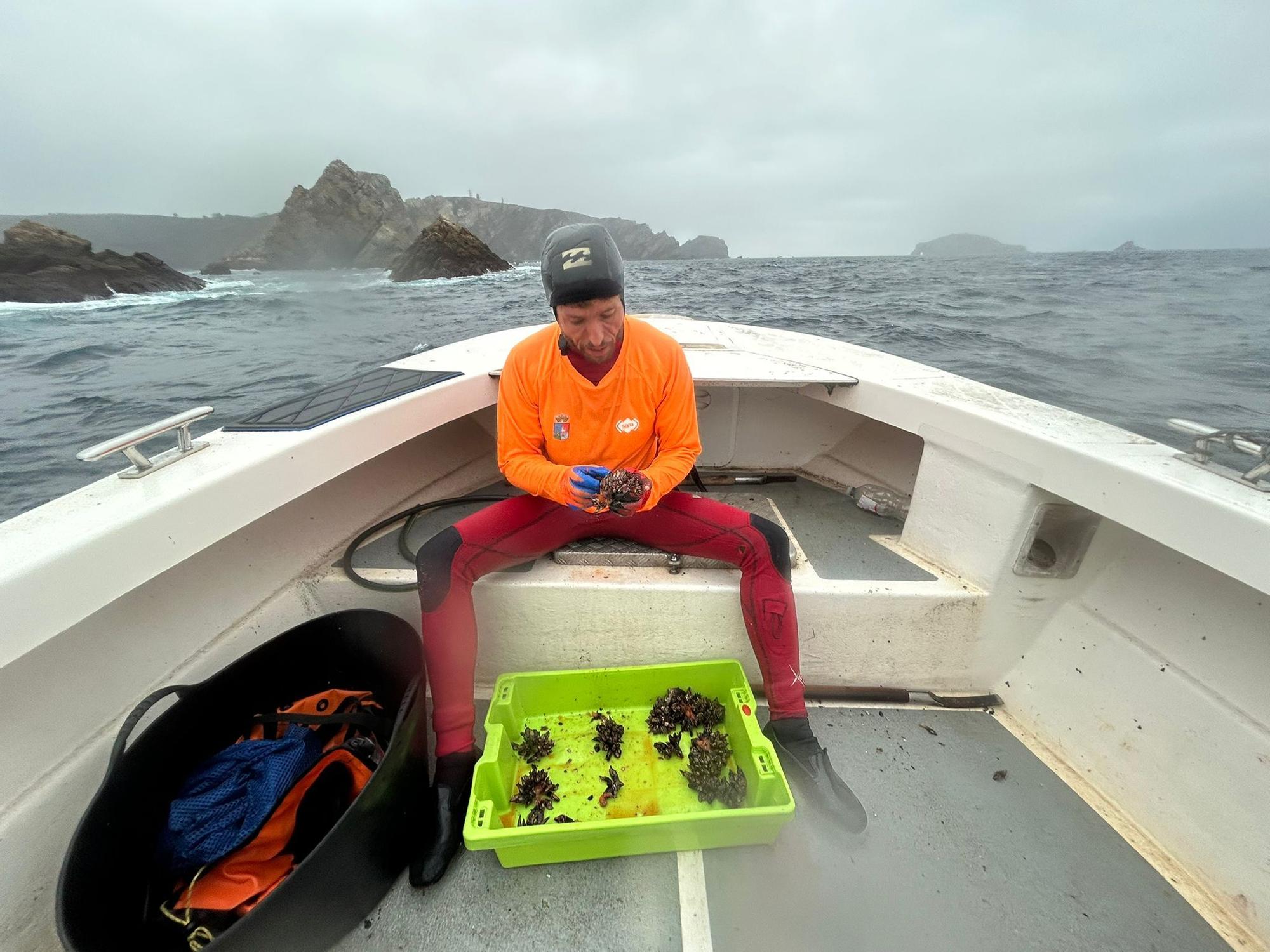 EN IMÁGENES: Así luchan los mariscadores de Luanco por cada kilo de percebe en el cabo Peñas