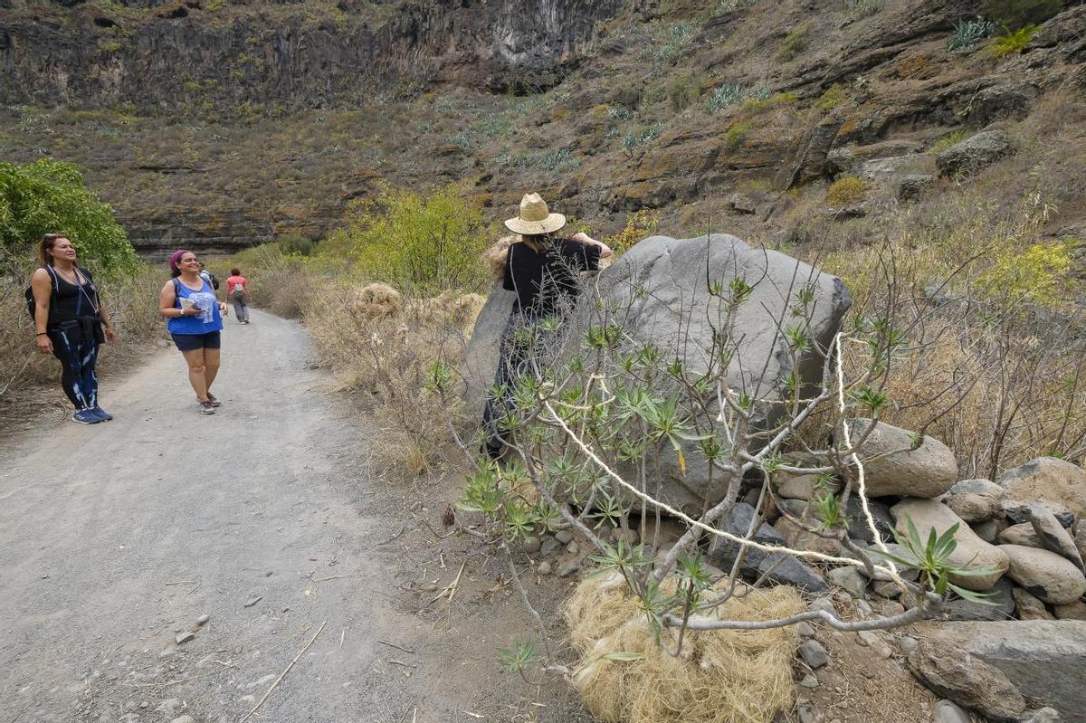 Paseo por el barranco con la nueva app Kleos Guiniguada Paseo por el barranco con la nueva app Kleos Guiniguada